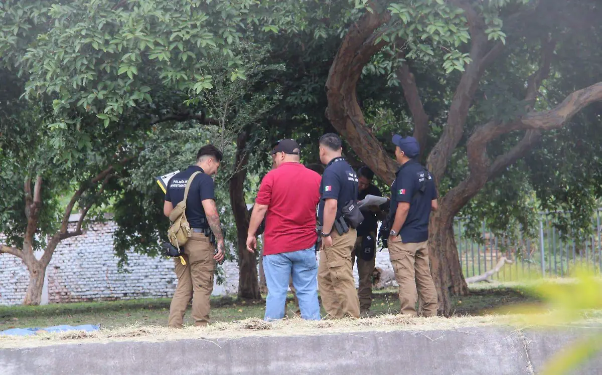 Asesinato joven parque El Dean